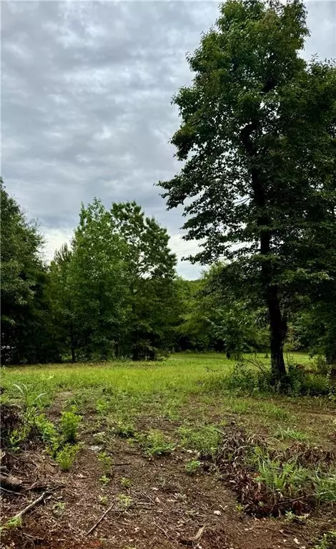 0 Spring Place Rd, White, GA 30184 photo 19