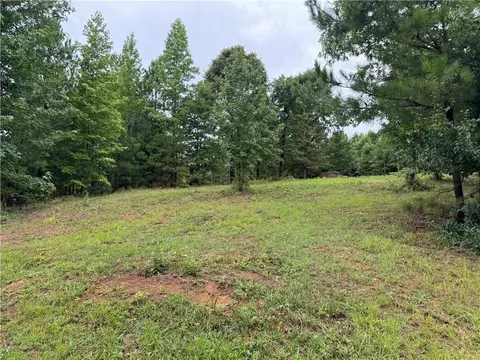 0 Spring Place Rd, White, GA 30184 photo 21