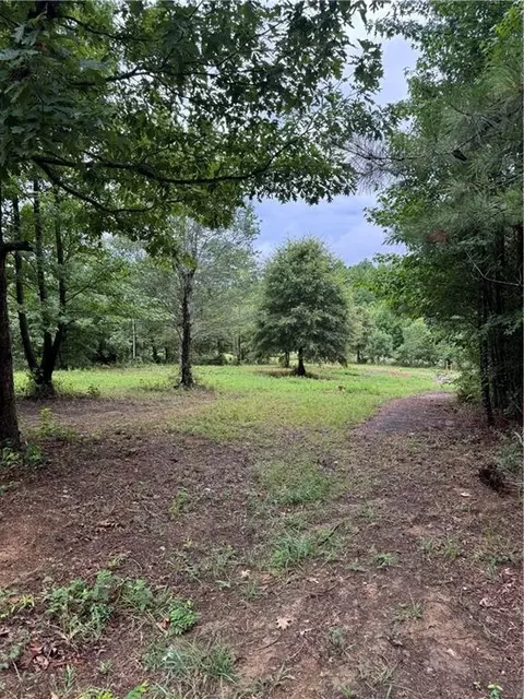 0 Spring Place Rd, White, GA 30184 photo 15
