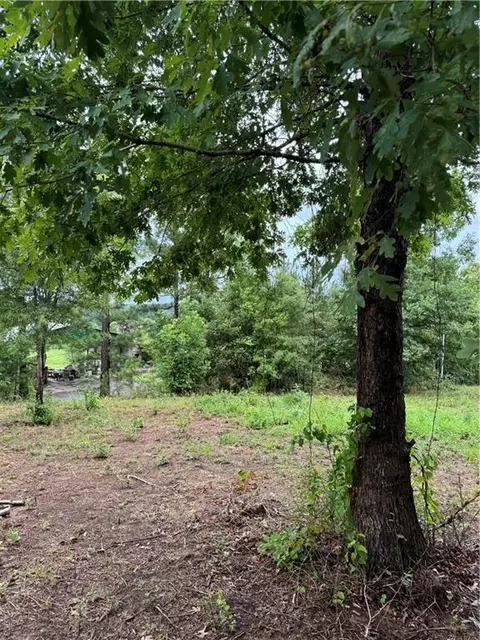 0 Spring Place Rd, White, GA 30184 photo 17
