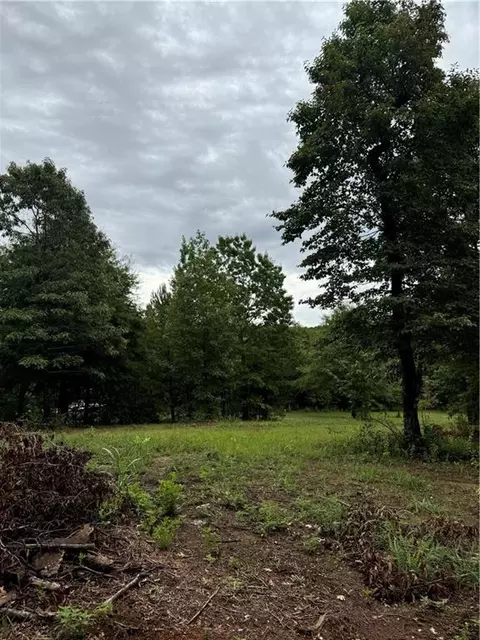 0 Spring Place Rd, White, GA 30184 photo 16