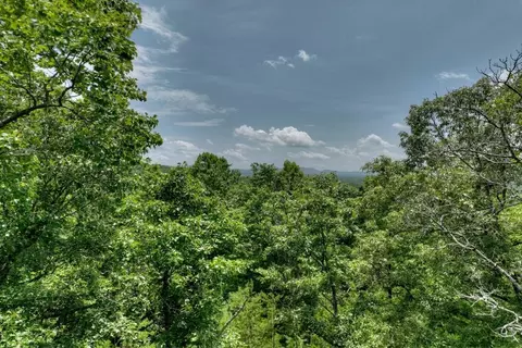 lot C Dillons Ridge Rd, Morganton, GA 30560