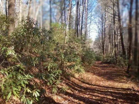 000 Fortenberry Rd, Blairsville, GA 30512