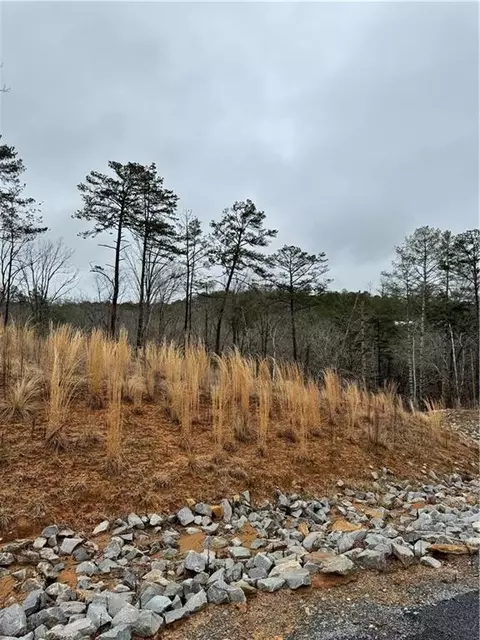 171 Ridge Line Ct, Ellijay, GA 30540