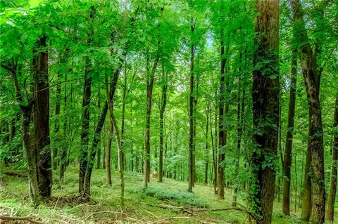 M165 Walnut Mountain, Ellijay, GA 30540