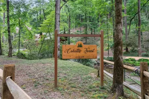 11288 Old Ccc Camp Rd, Chatsworth, GA 30705 photo 49