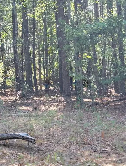 00 Youngs Mill Rd, Kingston, GA 30145