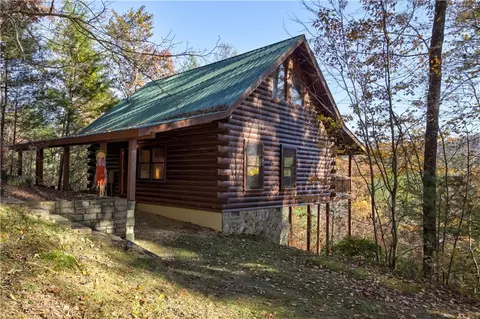 46 N Candice Ct, Cherry Log, GA 30522