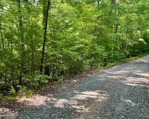 0 Hillbilly Holler, Blue Ridge, GA 30513