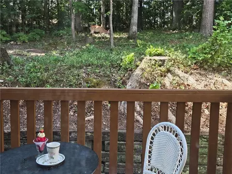 385 Abbotts Mill Dr #29, Duluth, GA 30097 photo 37