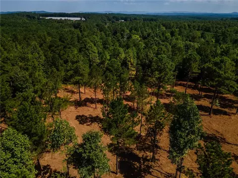lot4 Young Loop, Fairmount, GA 30139 photo 2