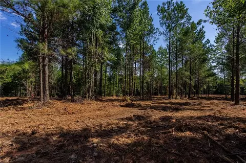 lot4 Young Loop, Fairmount, GA 30139 photo 5