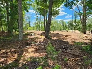 00000 Sardis Rd, Canton, GA 30114