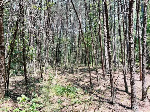 0 Spring Place Rd, Rydal, GA 30171 photo 10