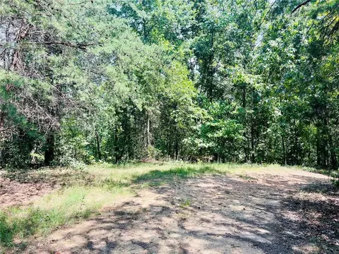 0 Spring Place Rd, Rydal, GA 30171 photo 8