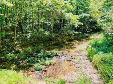 0 Spring Place Rd, Rydal, GA 30171 photo 3