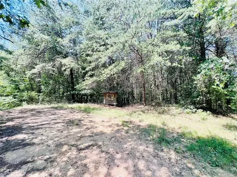 0 Spring Place Rd, Rydal, GA 30171 photo 13
