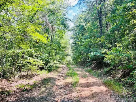0 Spring Place Rd, Rydal, GA 30171 photo 4