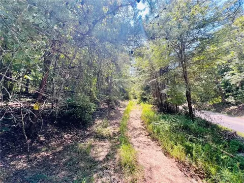 0 Spring Place Rd, Rydal, GA 30171 photo 7