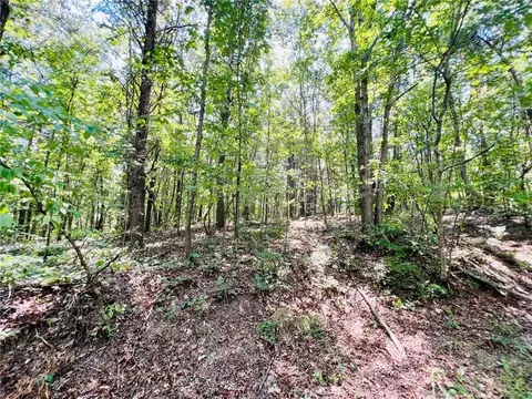 0 Spring Place Rd, Rydal, GA 30171 photo 9