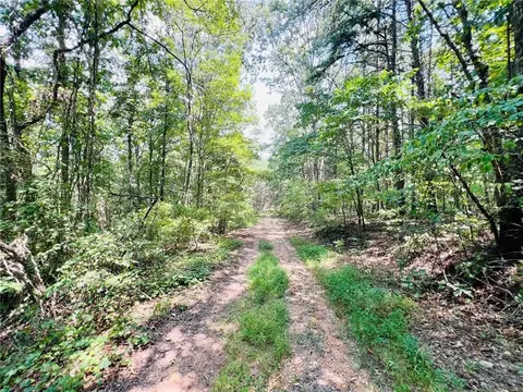 0 Spring Place Rd, Rydal, GA 30171 photo 11