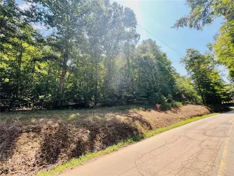 0 Spring Place Rd, Rydal, GA 30171 photo 5
