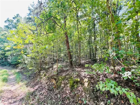 0 Spring Place Rd, Rydal, GA 30171 photo 6