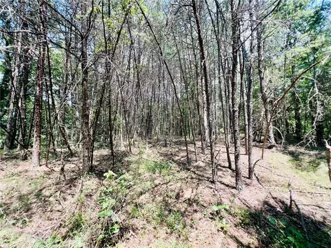 0 Spring Place Rd, Rydal, GA 30171 photo 12