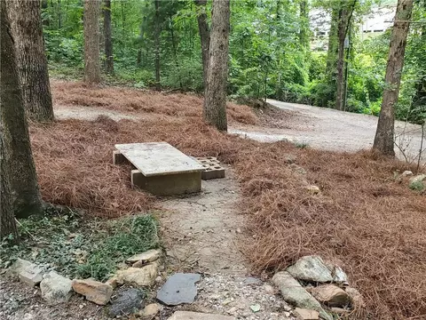 3480 Talking Rock Rd, Talking Rock, GA 30175 photo 27