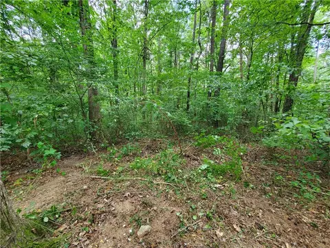 3480 Talking Rock Rd, Talking Rock, GA 30175 photo 28