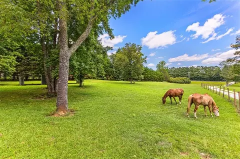 285 Dorsey Rd, Hampton, GA 30228 photo 4