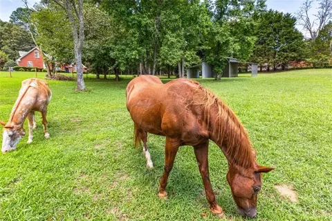 285 Dorsey Rd, Hampton, GA 30228 photo 49