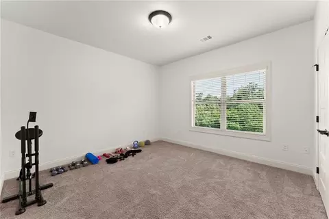 5722 Brickhampton Ct, Clermont, GA 30527 photo 39