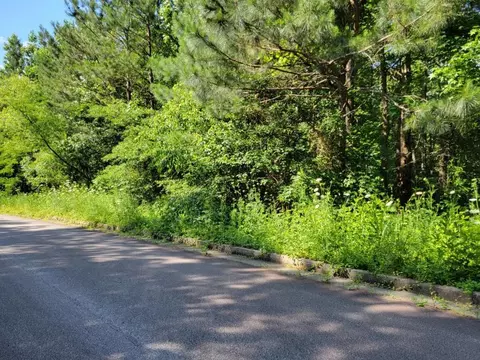 91 Cedar Clf, Temple, GA 30179 photo 3