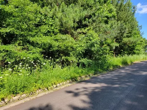 91 Cedar Clf, Temple, GA 30179 photo 2