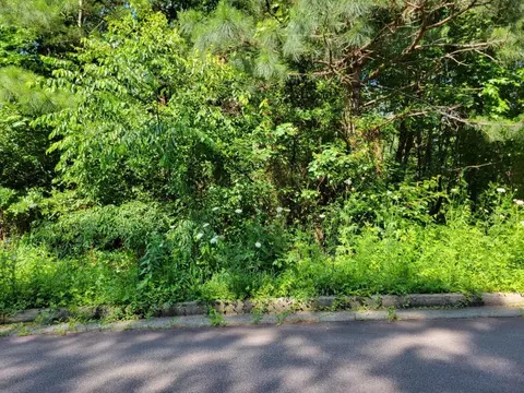 91 Cedar Clf, Temple, GA 30179 photo 4