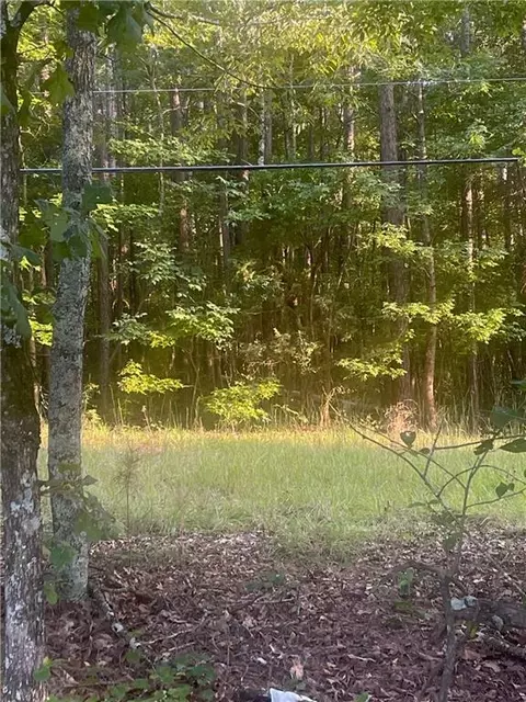 0 Taylorsville Rd, Aragon, GA 30104