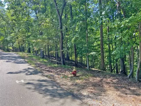 0 Chokecherry Ln, Dahlonega, GA 30533