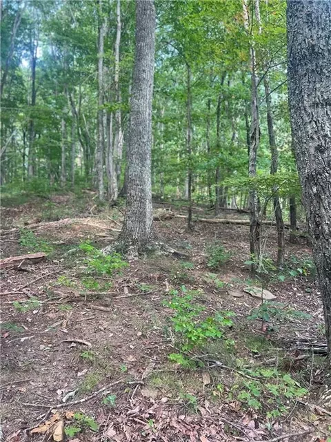 00 Folkstone Rd, Talking Rock, GA 30175