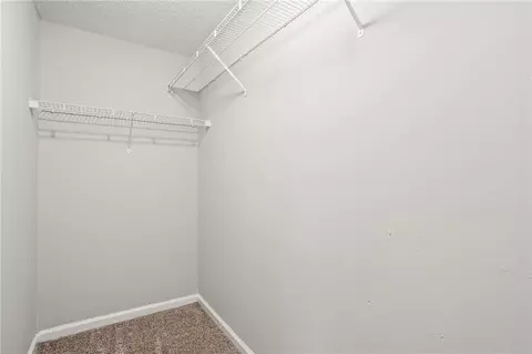 10777 Knotty Pine Pl, Hampton, GA 30228 photo 8