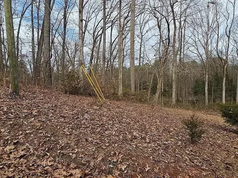 343 Gumlog Grove Rd, Lavonia, GA 30553