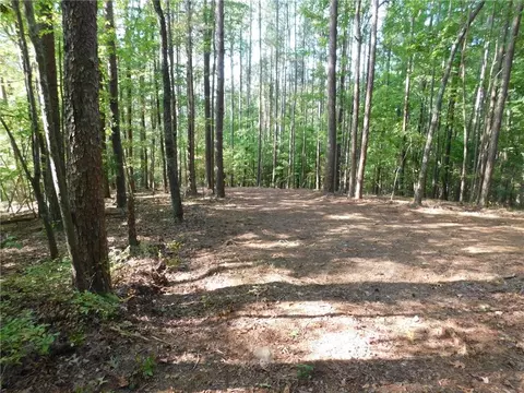 11 Ac Larmon Forks Road Dahlonega Ga Usa, Dahlonega, GA 30533