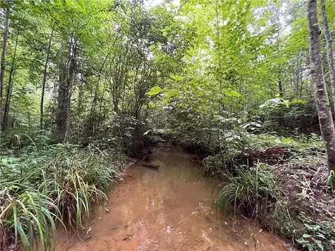 0 Grant Rd, Trenton, GA 30752