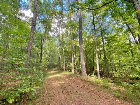 153 Ac White Path Rd, Ellijay, GA 30540