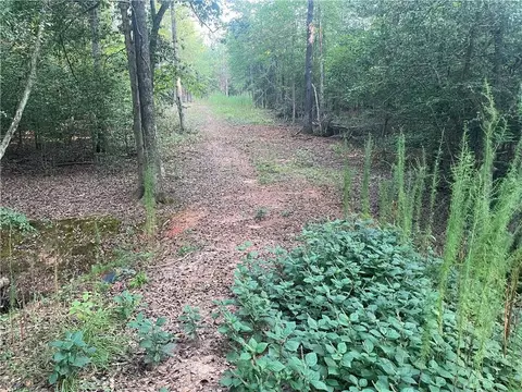 0 Wilson Rd, Covington, GA 30016 photo 3