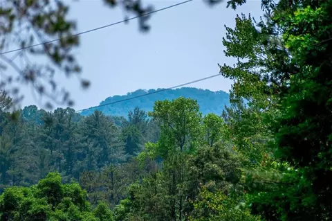 2 66ac Pine Ln, Mineral Bluff, GA 30559