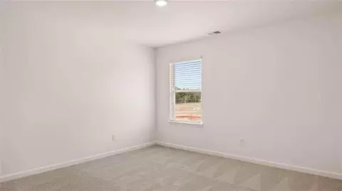 698 Edgar St, Hampton, GA 30228 photo 43