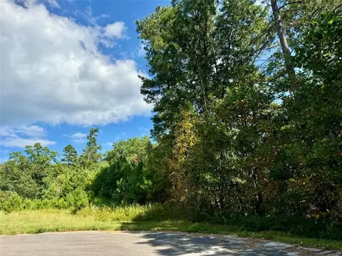232 Hopewell Dr, Ranger, GA 30734