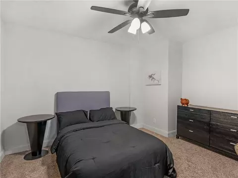 1018 Pampas Way, Hampton, GA 30228 photo 61