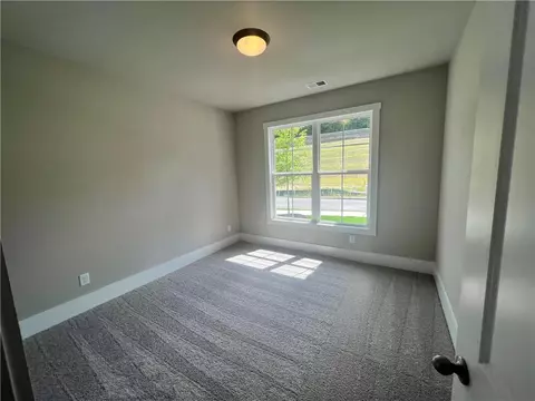 324 Willow Cv, Canton, GA 30114 photo 4
